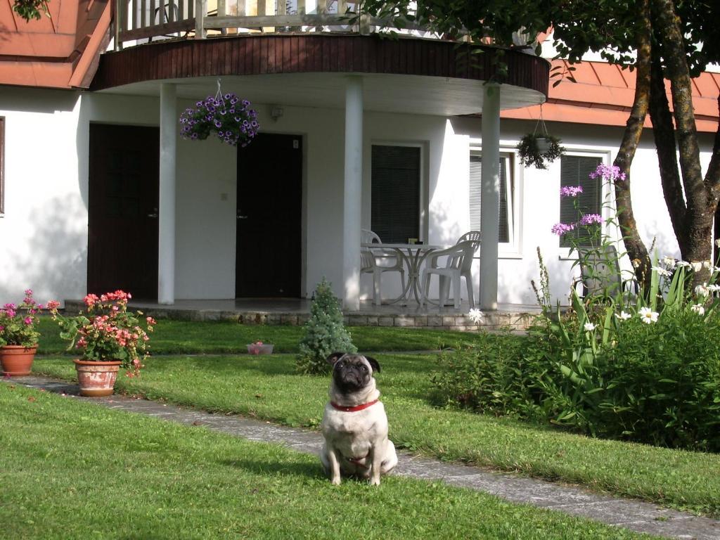Maenni Guesthouse Haapsalu Zimmer foto